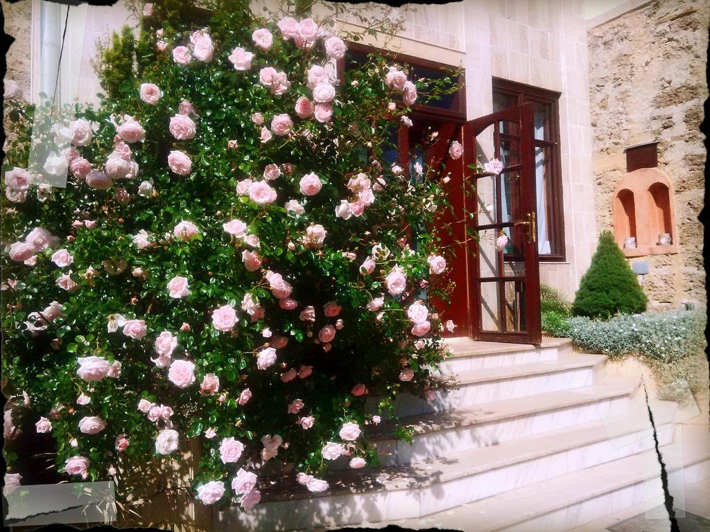Villa Castelul Maria Banpotoc 外观 照片
