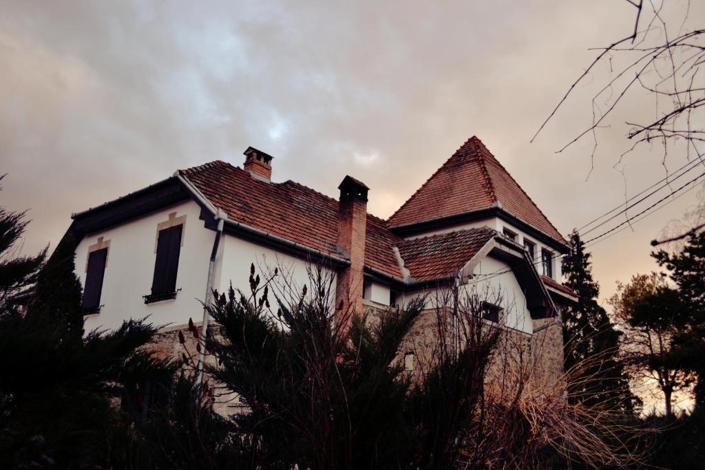 Villa Castelul Maria Banpotoc 外观 照片