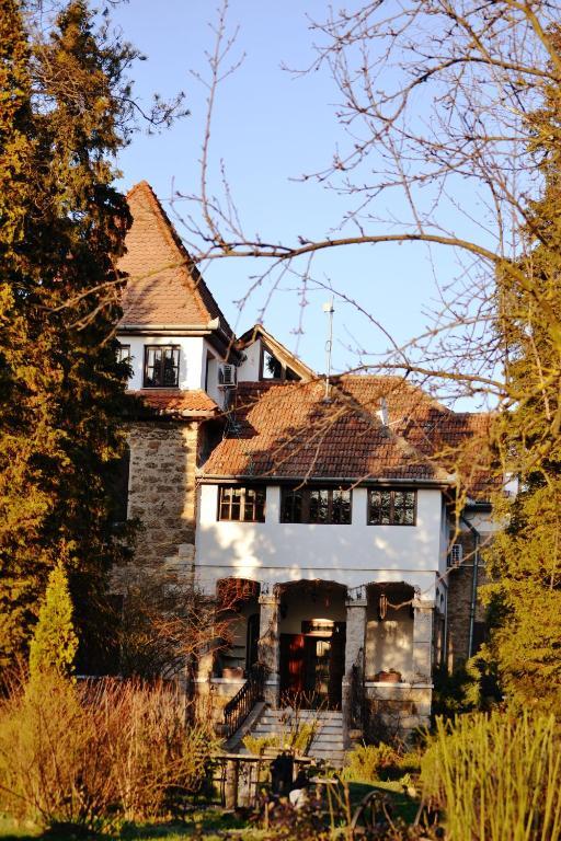 Villa Castelul Maria Banpotoc 外观 照片